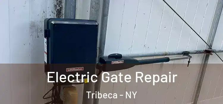  Electric Gate Repair Tribeca - NY