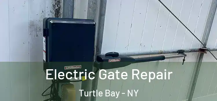  Electric Gate Repair Turtle Bay - NY