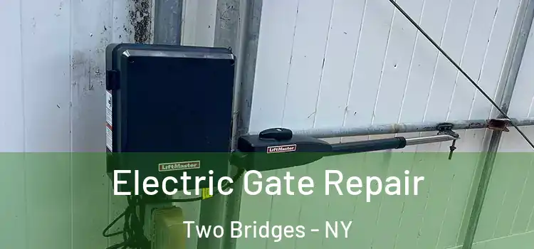  Electric Gate Repair Two Bridges - NY
