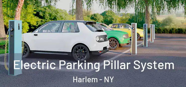  Electric Parking Pillar System Harlem - NY