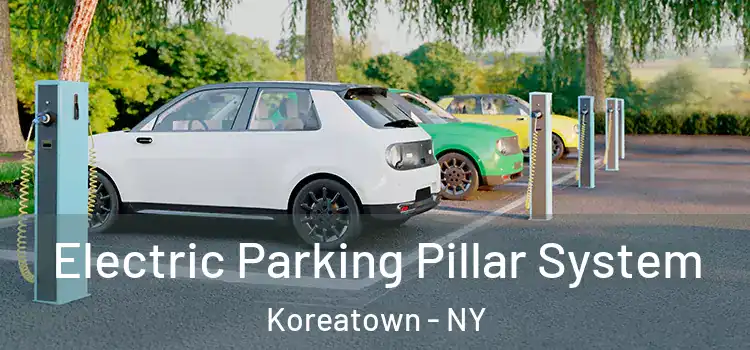  Electric Parking Pillar System Koreatown - NY