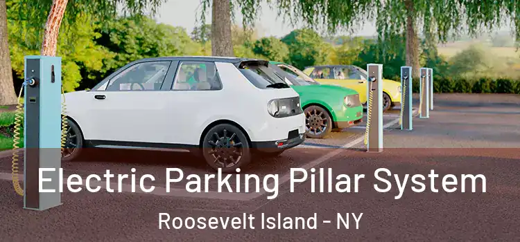  Electric Parking Pillar System Roosevelt Island - NY