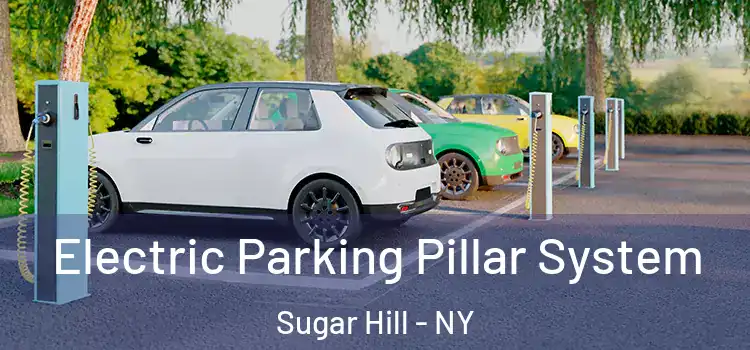 Electric Parking Pillar System Sugar Hill - NY