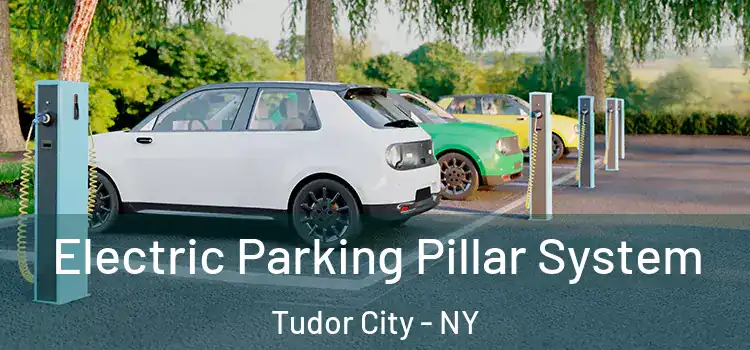  Electric Parking Pillar System Tudor City - NY