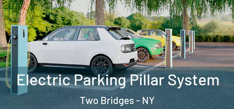  Electric Parking Pillar System Two Bridges - NY