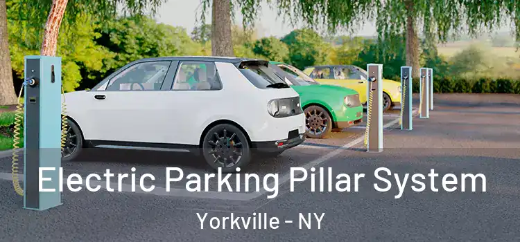  Electric Parking Pillar System Yorkville - NY