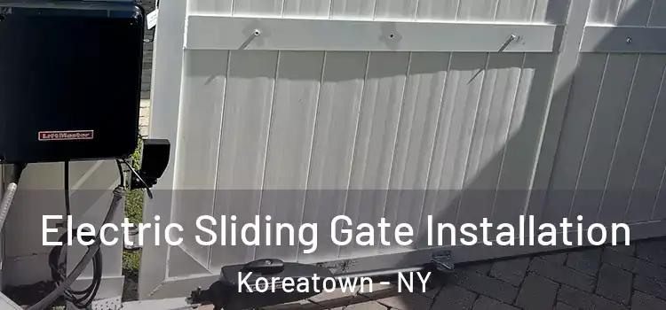  Electric Sliding Gate Installation Koreatown - NY