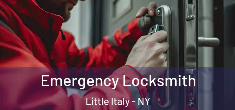  Emergency Locksmith Little Italy - NY