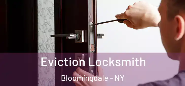 Eviction Locksmith Bloomingdale - NY