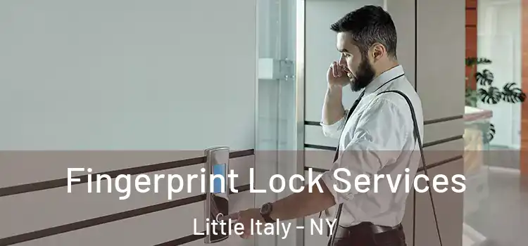  Fingerprint Lock Services Little Italy - NY