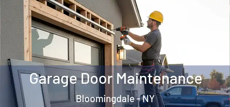  Garage Door Maintenance Bloomingdale - NY