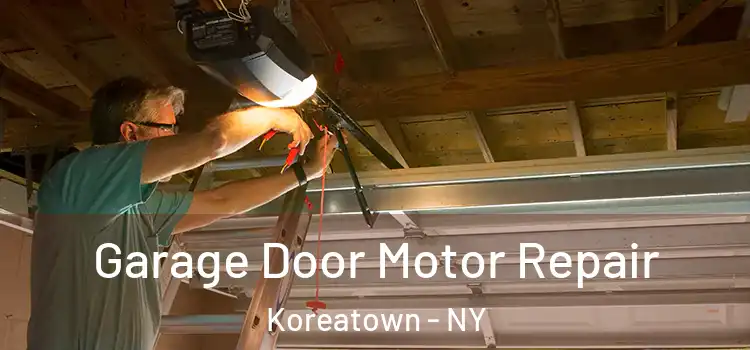  Garage Door Motor Repair Koreatown - NY