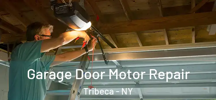  Garage Door Motor Repair Tribeca - NY