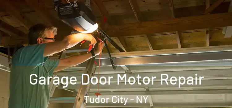  Garage Door Motor Repair Tudor City - NY