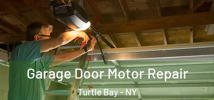 Garage Door Motor Repair Turtle Bay - NY