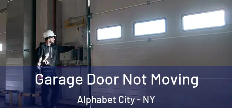  Garage Door Not Moving Alphabet City - NY