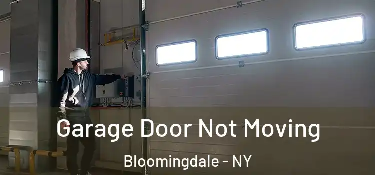  Garage Door Not Moving Bloomingdale - NY