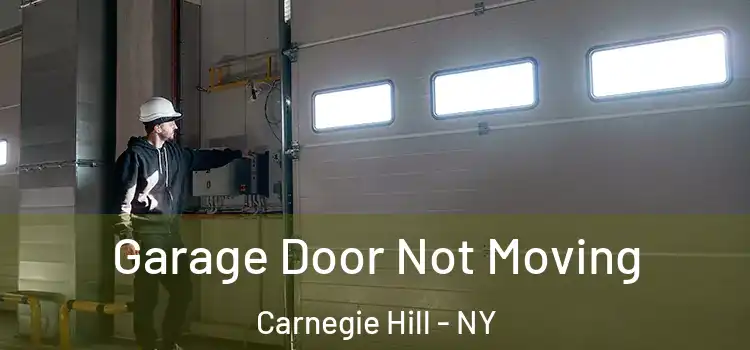  Garage Door Not Moving Carnegie Hill - NY