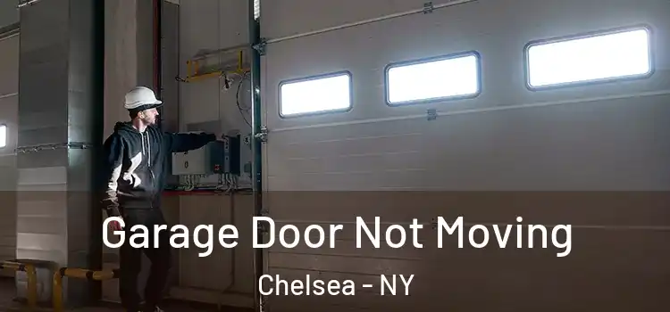  Garage Door Not Moving Chelsea - NY