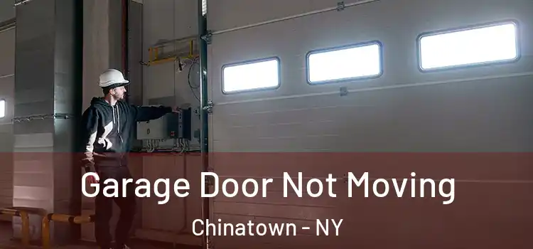  Garage Door Not Moving Chinatown - NY