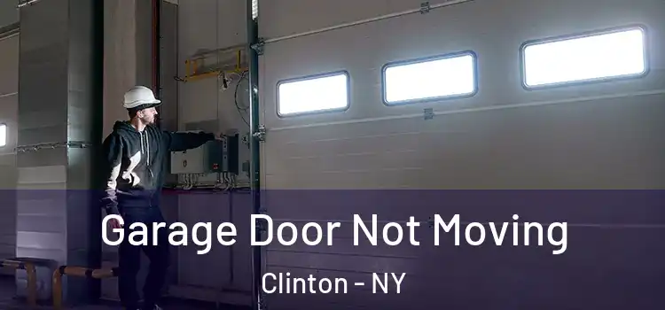  Garage Door Not Moving Clinton - NY