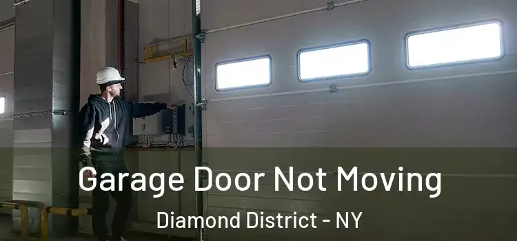  Garage Door Not Moving Diamond District - NY
