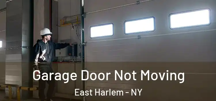  Garage Door Not Moving East Harlem - NY