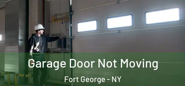  Garage Door Not Moving Fort George - NY