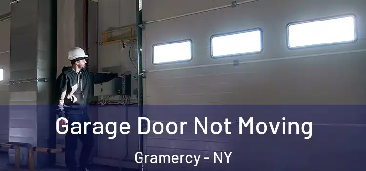  Garage Door Not Moving Gramercy - NY