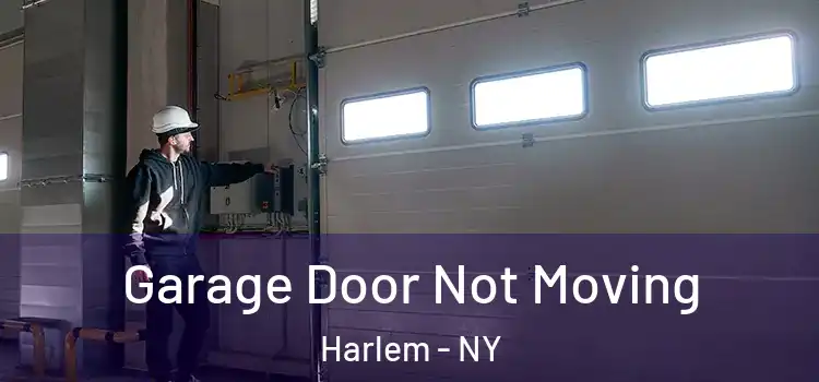  Garage Door Not Moving Harlem - NY