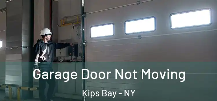  Garage Door Not Moving Kips Bay - NY