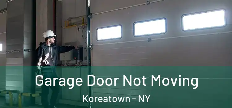  Garage Door Not Moving Koreatown - NY
