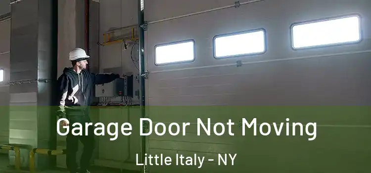  Garage Door Not Moving Little Italy - NY