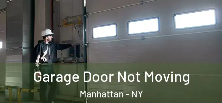  Garage Door Not Moving Manhattan - NY