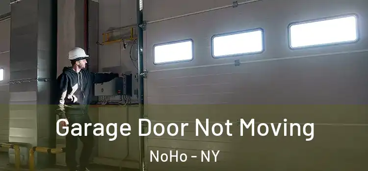  Garage Door Not Moving NoHo - NY