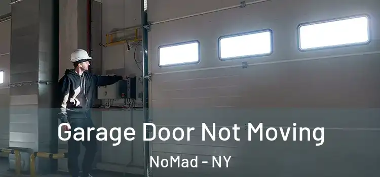  Garage Door Not Moving NoMad - NY