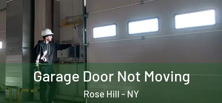  Garage Door Not Moving Rose Hill - NY