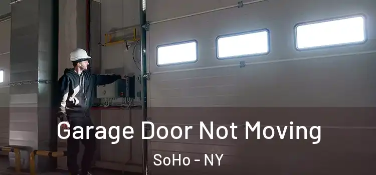  Garage Door Not Moving SoHo - NY
