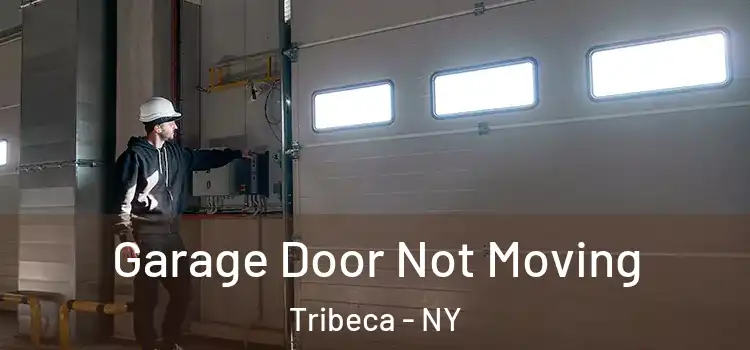  Garage Door Not Moving Tribeca - NY
