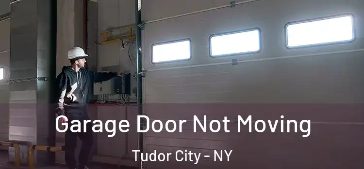  Garage Door Not Moving Tudor City - NY