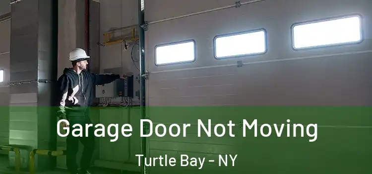  Garage Door Not Moving Turtle Bay - NY