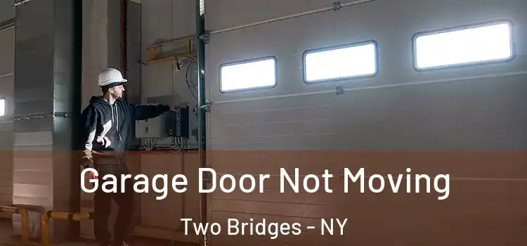  Garage Door Not Moving Two Bridges - NY