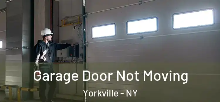  Garage Door Not Moving Yorkville - NY
