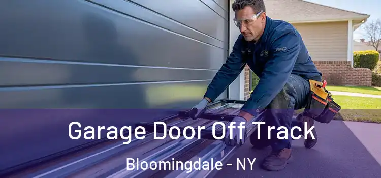  Garage Door Off Track Bloomingdale - NY