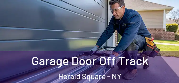  Garage Door Off Track Herald Square - NY