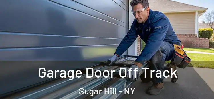  Garage Door Off Track Sugar Hill - NY