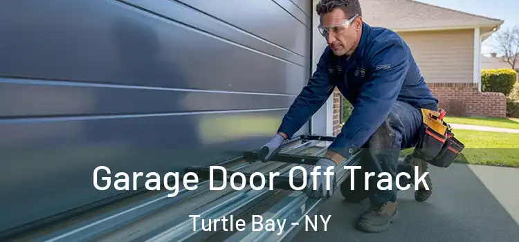  Garage Door Off Track Turtle Bay - NY