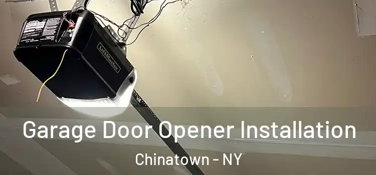  Garage Door Opener Installation Chinatown - NY