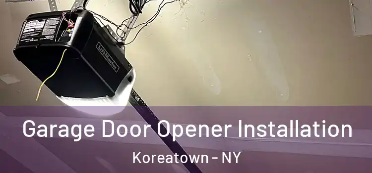  Garage Door Opener Installation Koreatown - NY