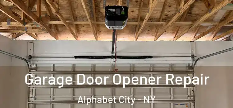  Garage Door Opener Repair Alphabet City - NY